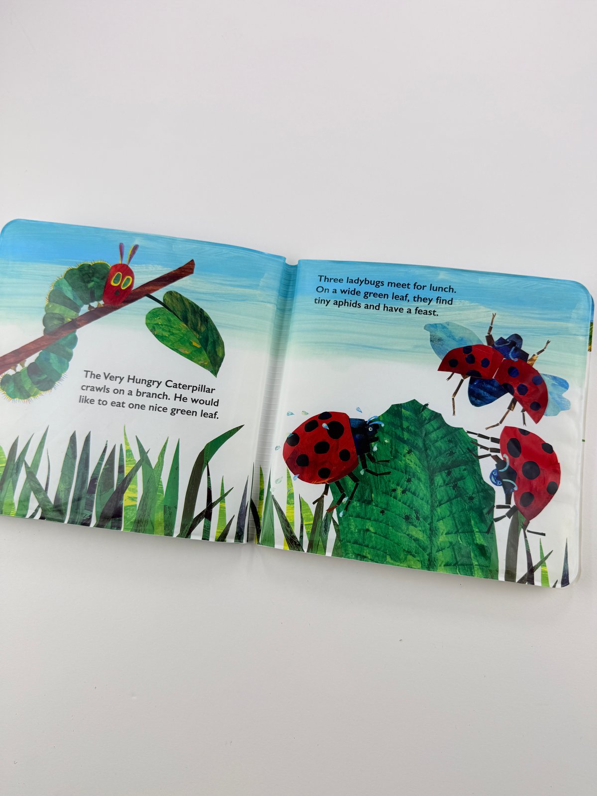 Eric Carle The Very Hungry Caterpillar Bath Book