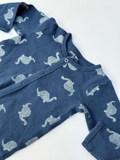 Petit Lem Dinosaur Footed Sleeper 9M
