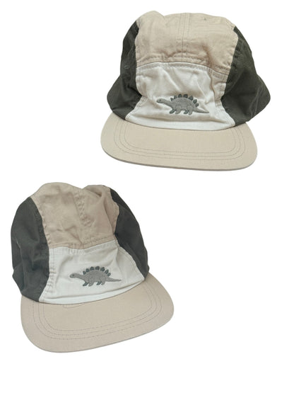 H&M Dinosaur Print Cap 2-Pack 3/4T