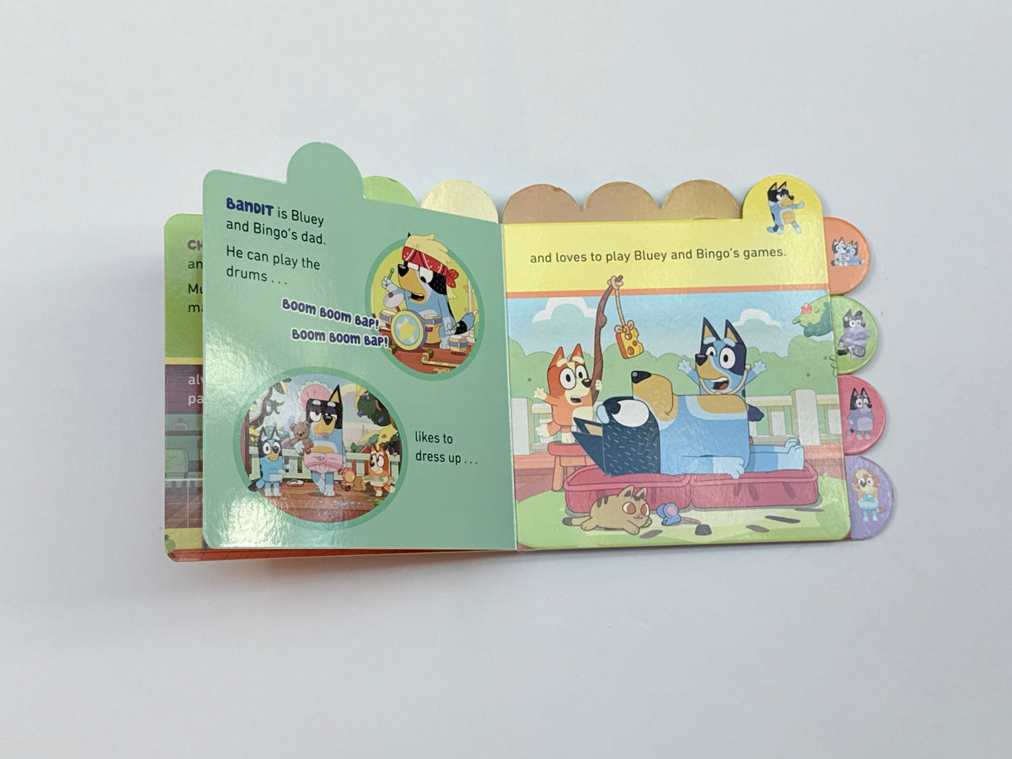 Bluey Meet Bluey's Family Board Book
