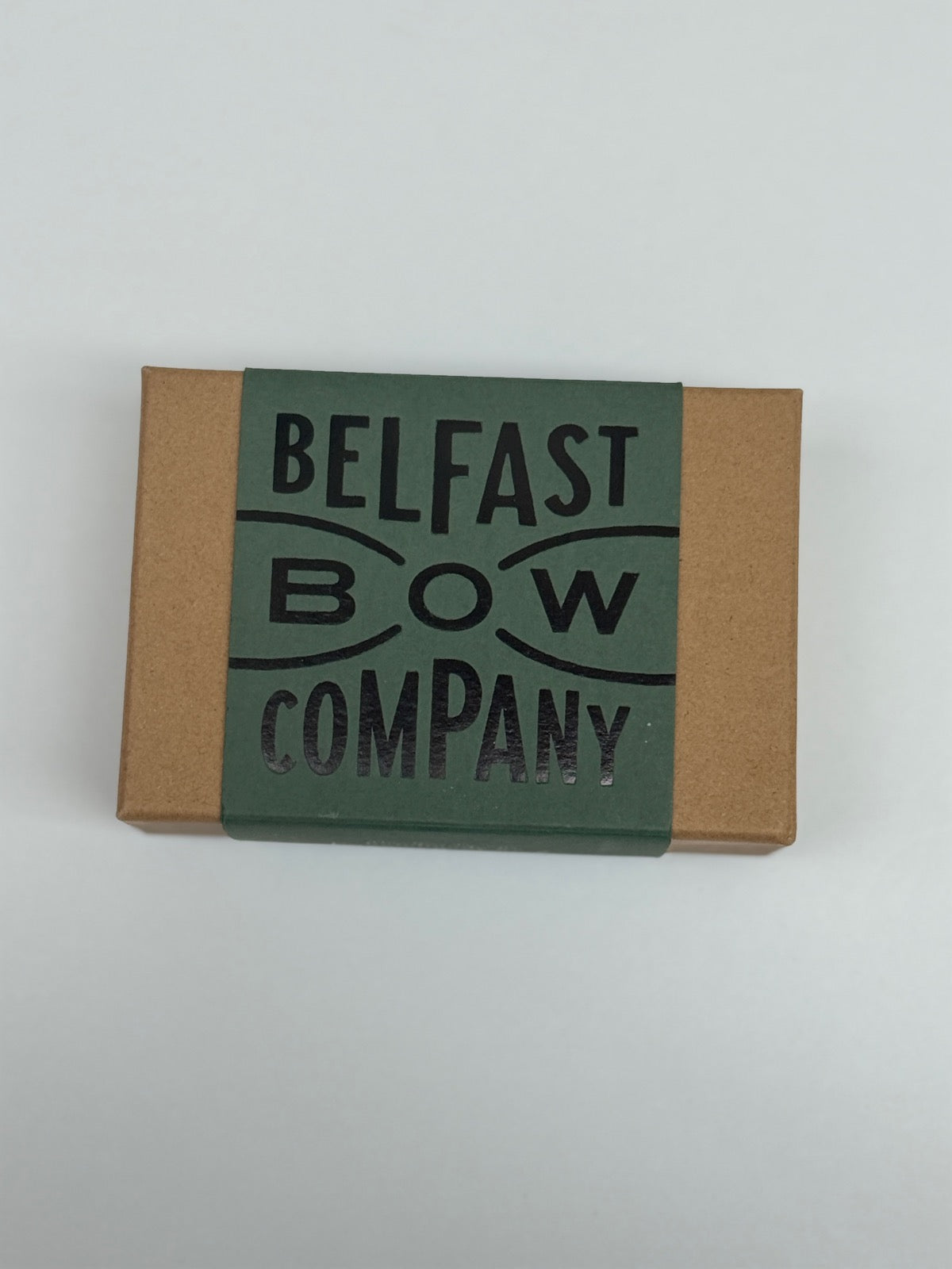 Belfast Bow Company Dinosaur Palm Tree Bow Tie