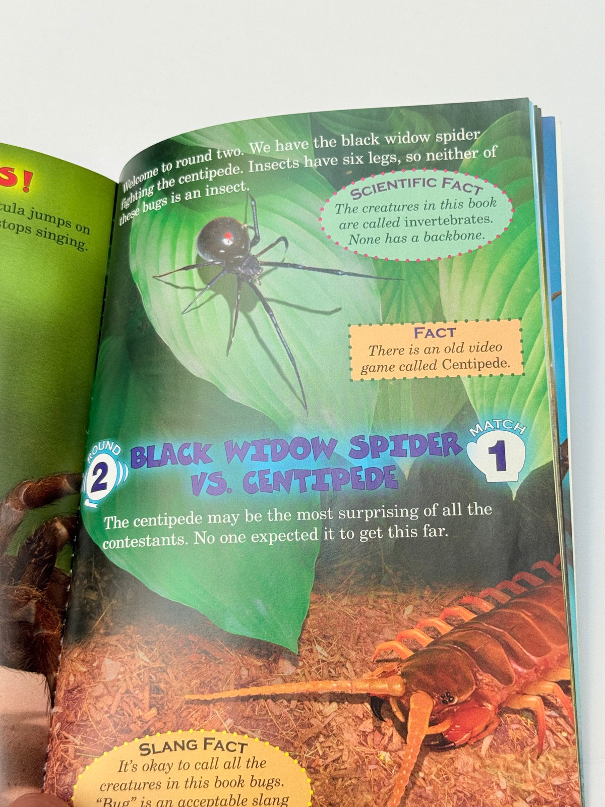 Jerry Pallotta Who Would Win Ultimate Bug Rumble