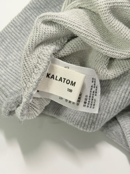 Kalatom Gray Discovery Sweatshirt Size 100
