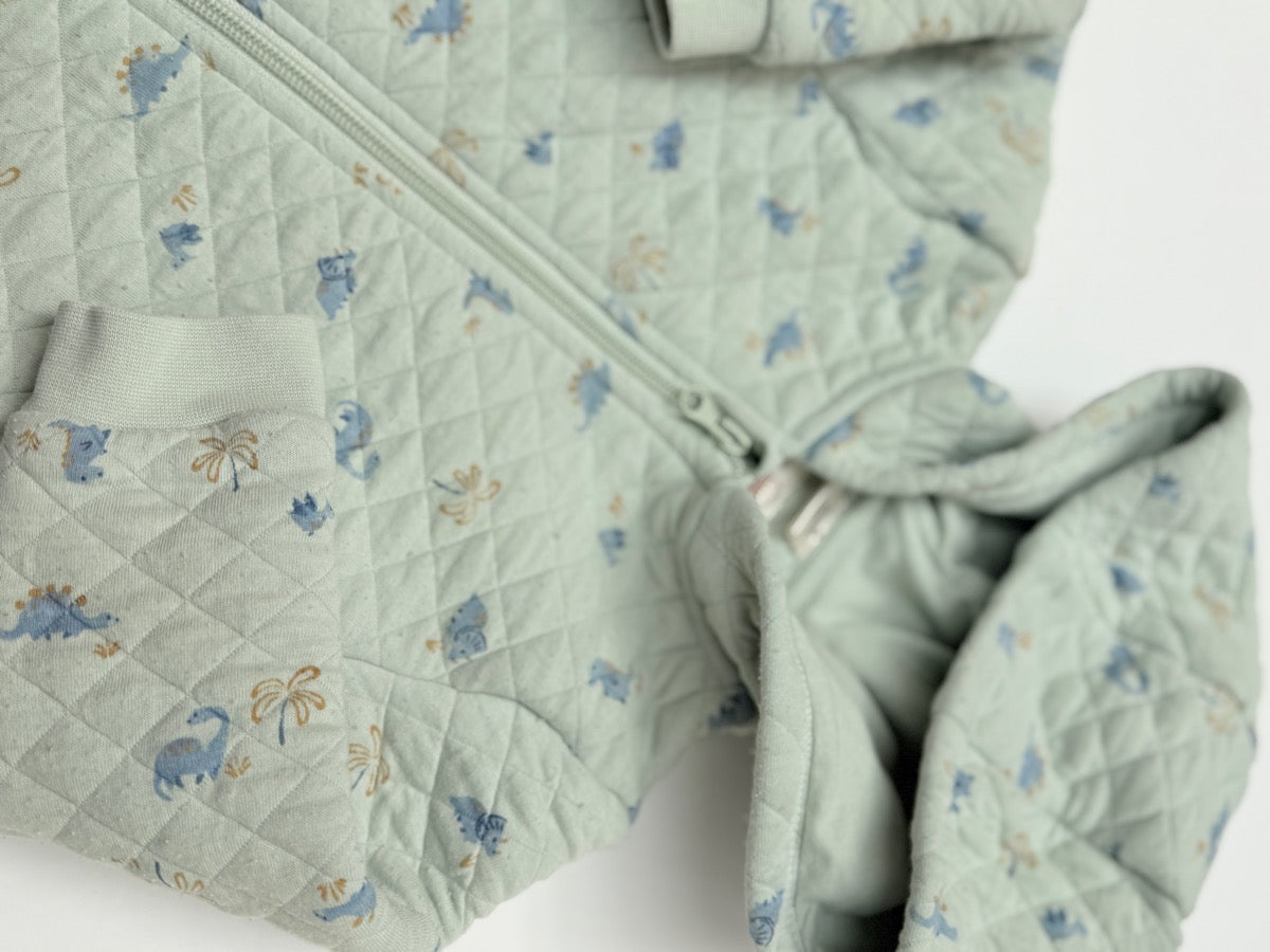First Wish Quilted Dinosaur Romper 18 24M