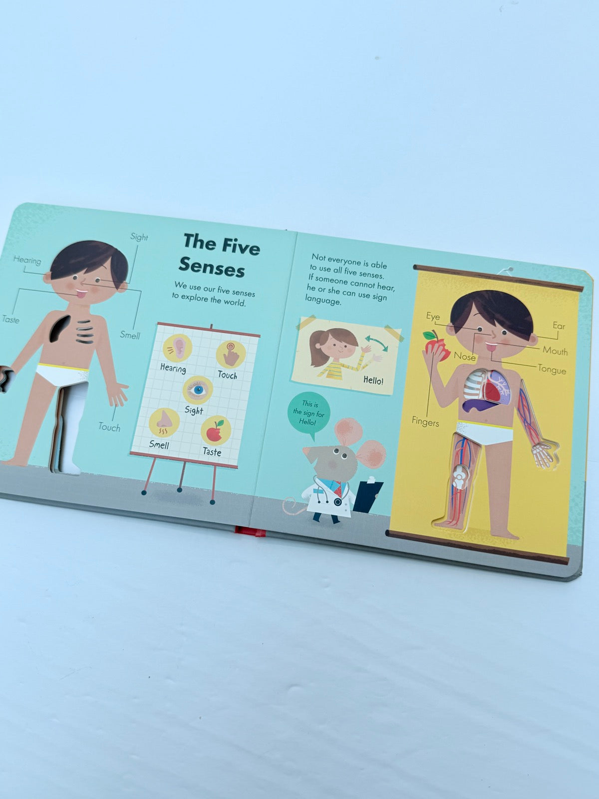 Amelia Hepworth How It Works: Human Body