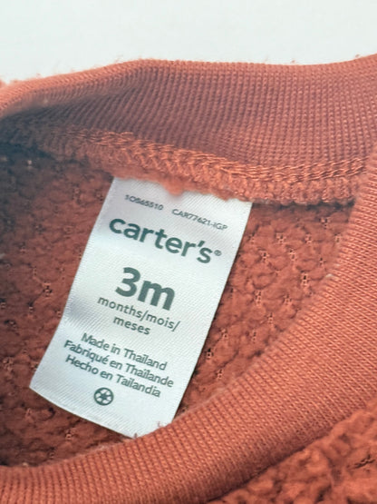 Carter's Bear Sherpa Sweatshirt Pants Set 3M
