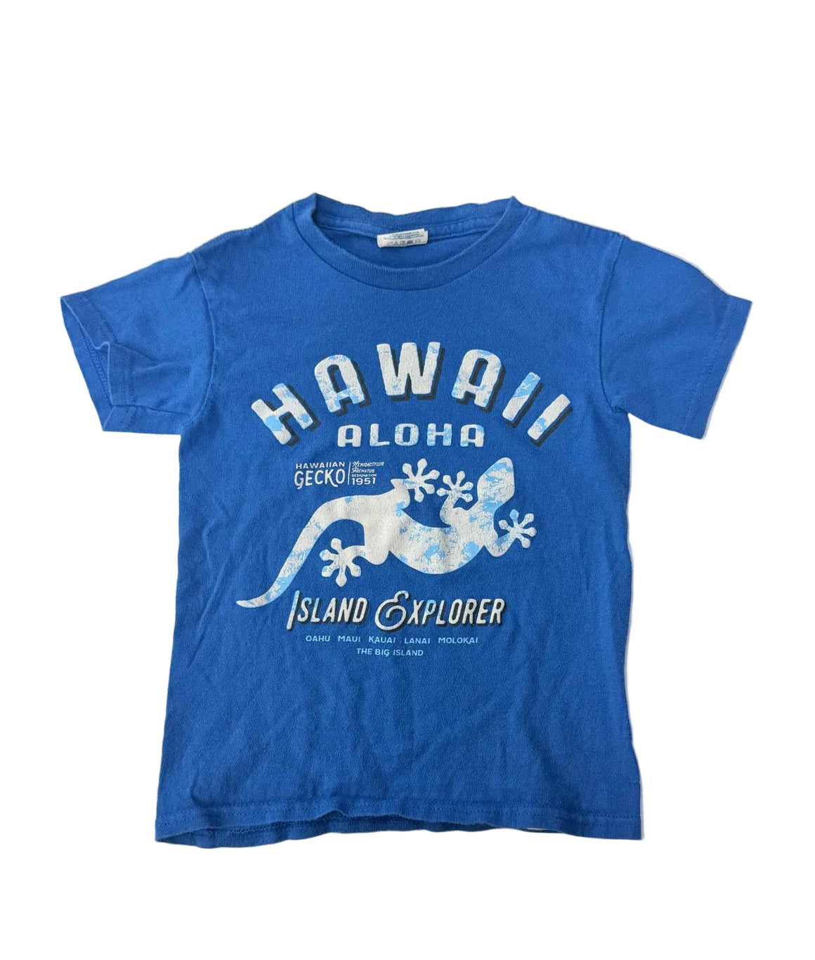 Delta Hawaiian Gecko Hawaii Aloha T-Shirt 4T