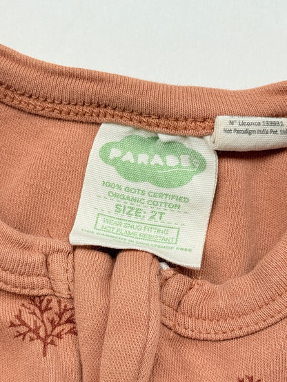 Parade Organic Cotton Fox Print Pajamas 2T