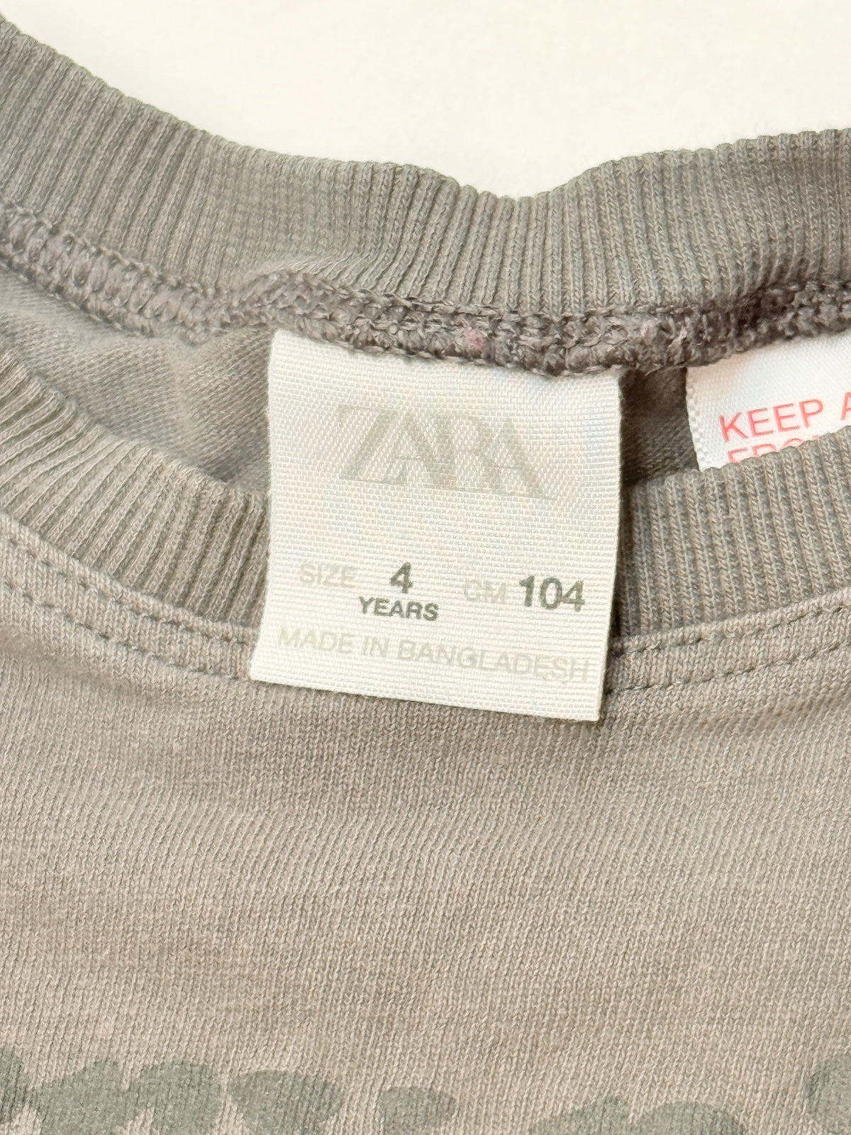 ZARA Berry Nice Moments Graphic T-Shirt Size 4T