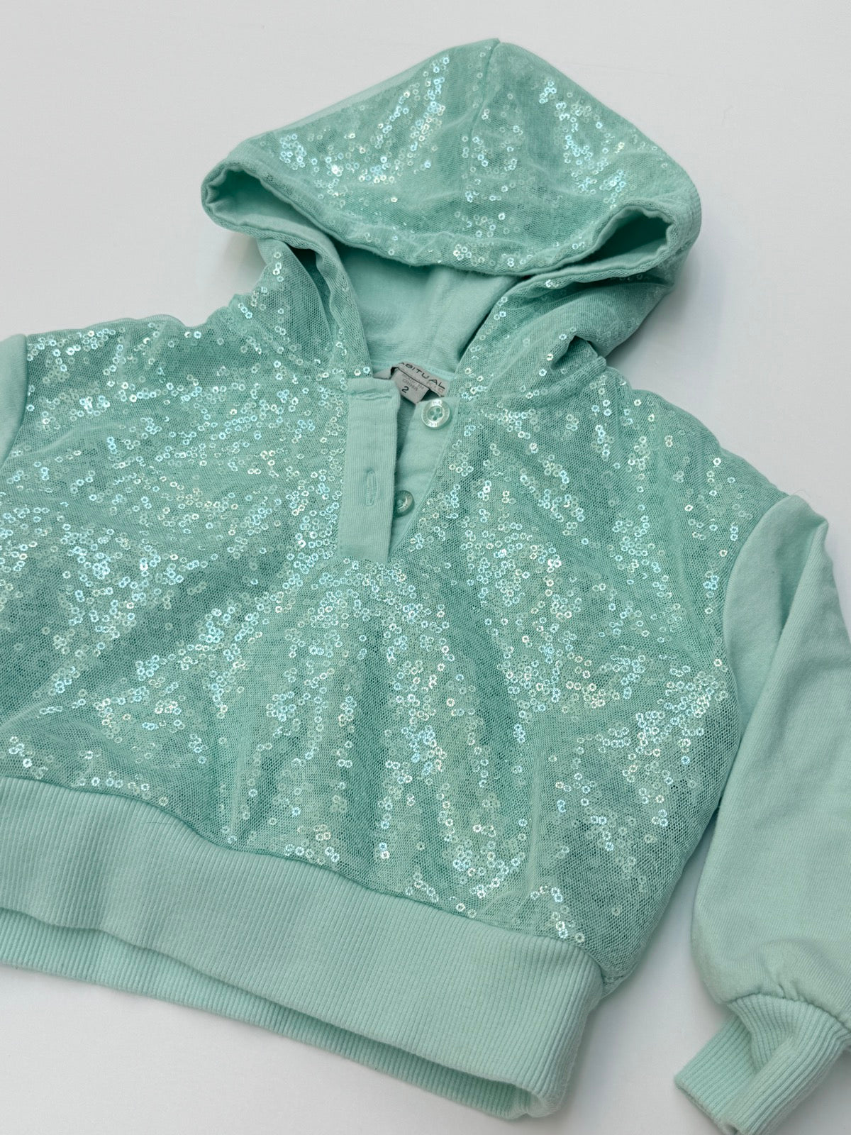 Habitual Sequin Hoodie Jogger Set Size 2T