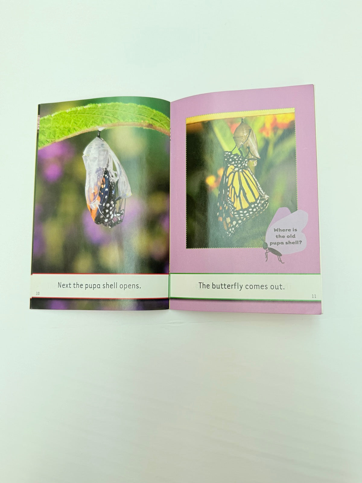 Melvin and Gilda Berger From Caterpillar to Butterfly