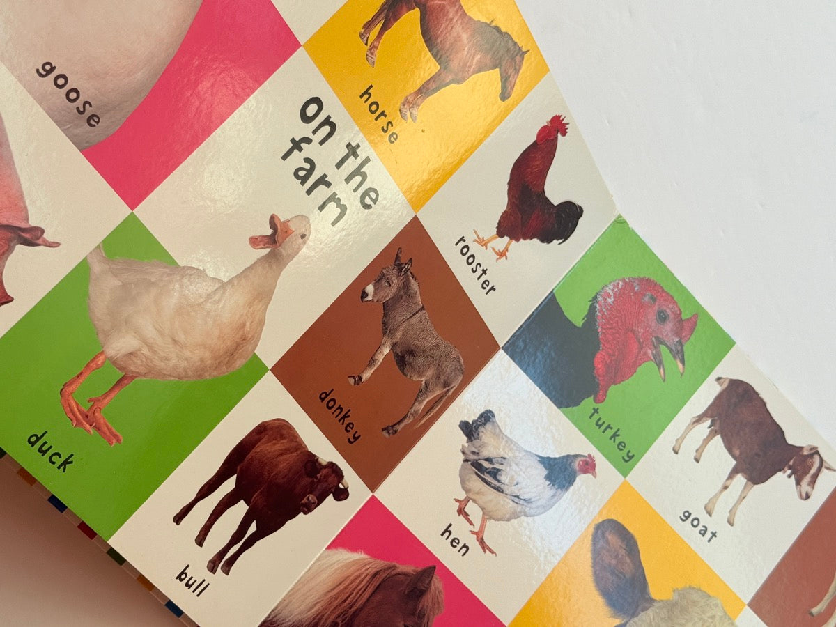 LG First 100 Animals Bright Baby Board Book