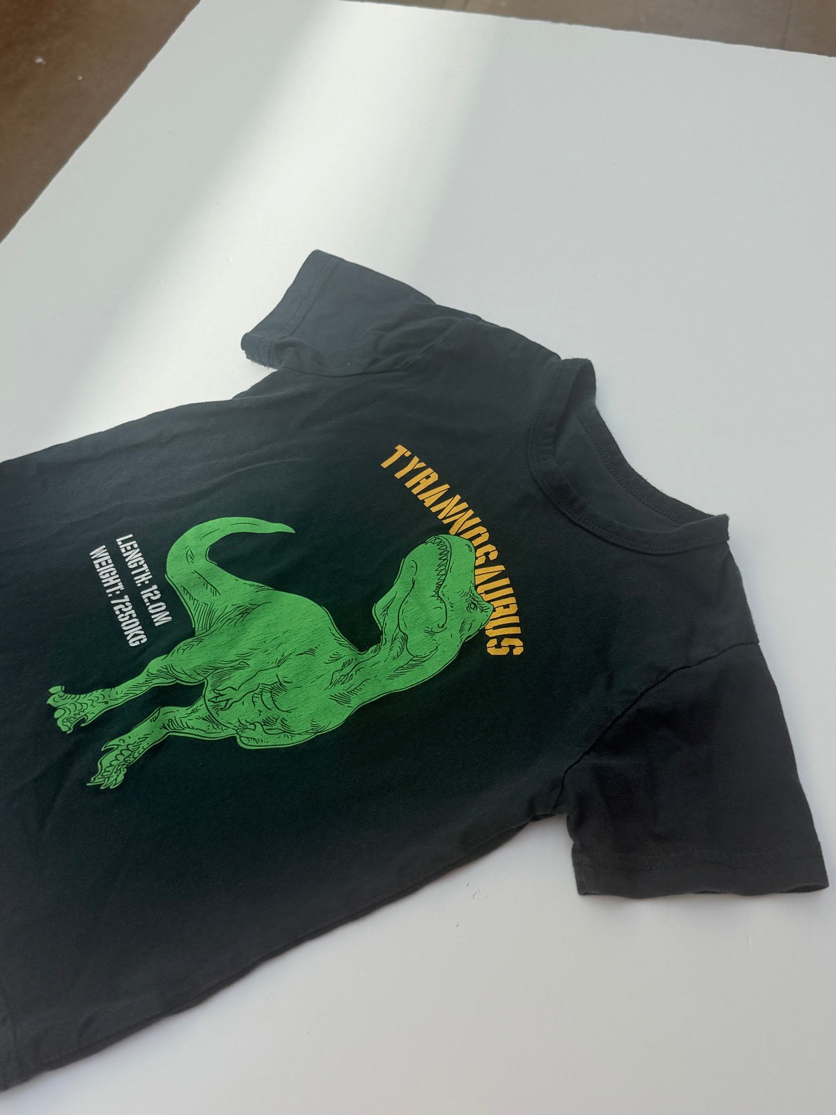 Tyrannosaurus Dinosaur Graphic T-Shirt Size 4/5