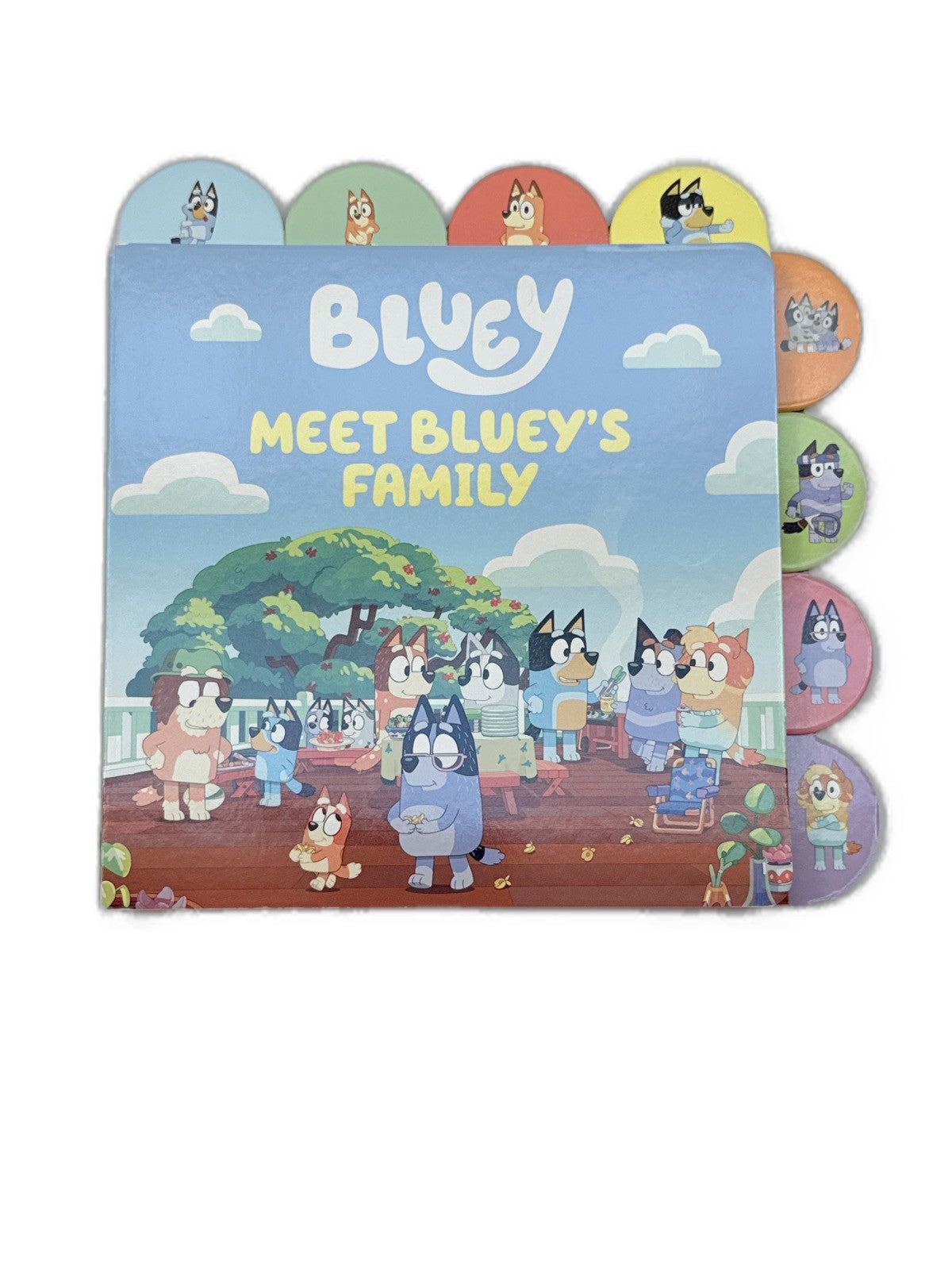 Bluey Meet Bluey's Family Board Book