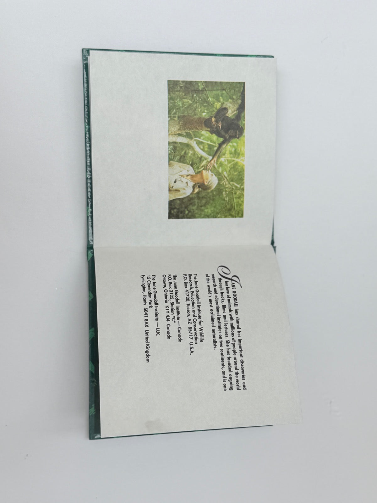 Jane Goodall Chimpanzee Family Animal Series