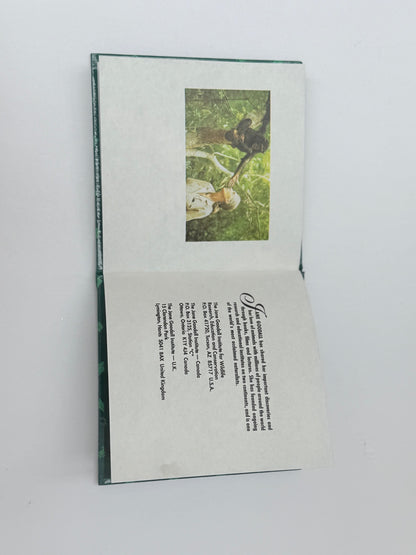 Jane Goodall Chimpanzee Family Animal Series