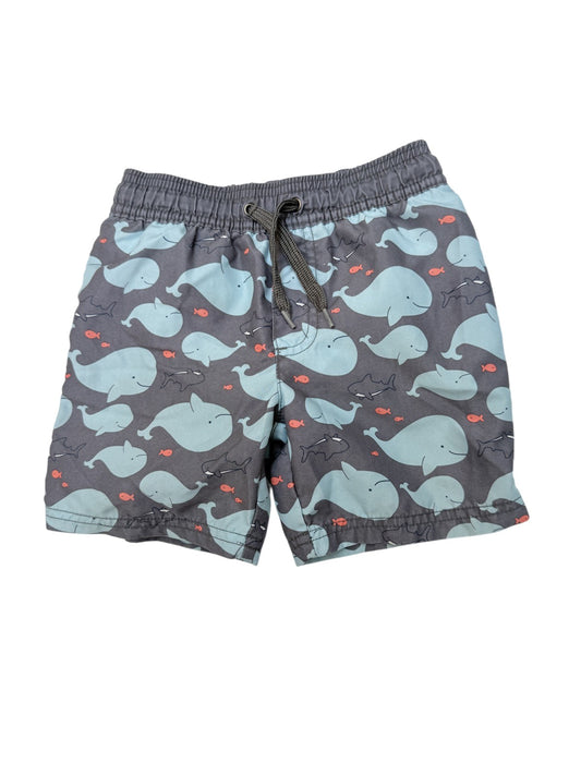 Simple Joys by Carter's Whale Shorts 3T
