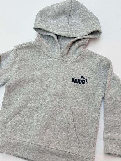 Puma Grey Pullover Hoodie