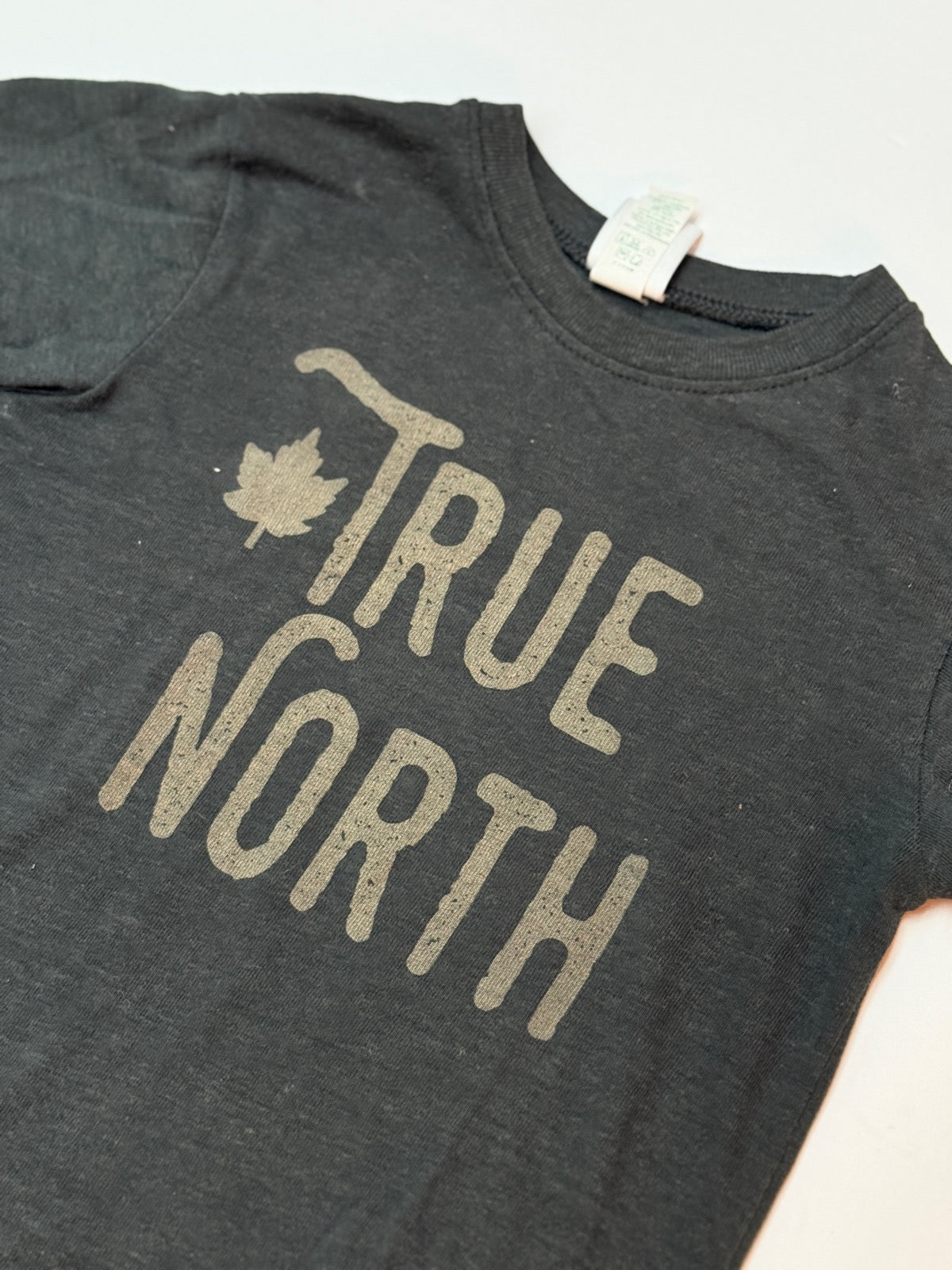 True North Graphic T-Shirt 4T