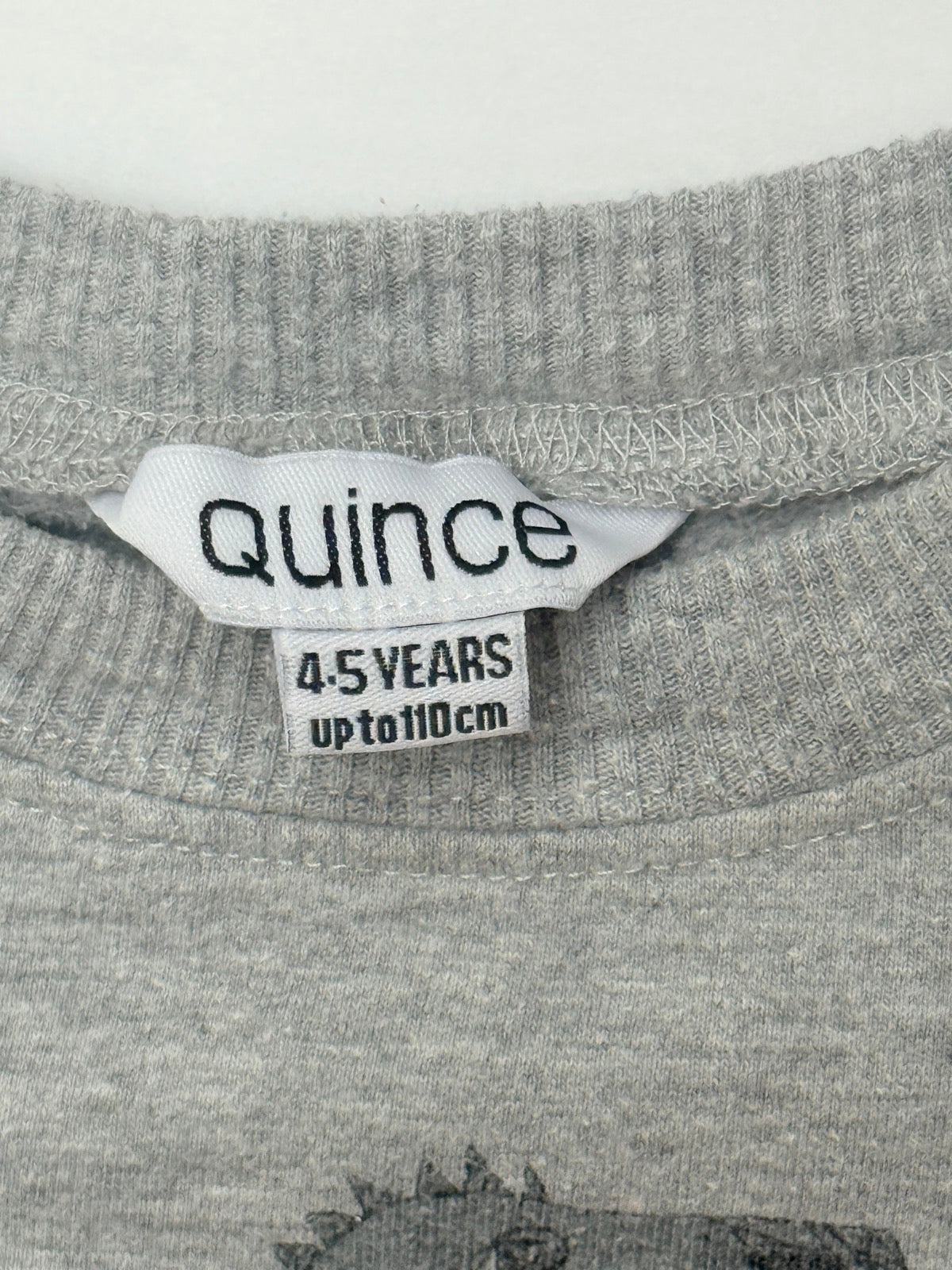 Quince Dinosaur London Eye Sweatshirt 4-5Y