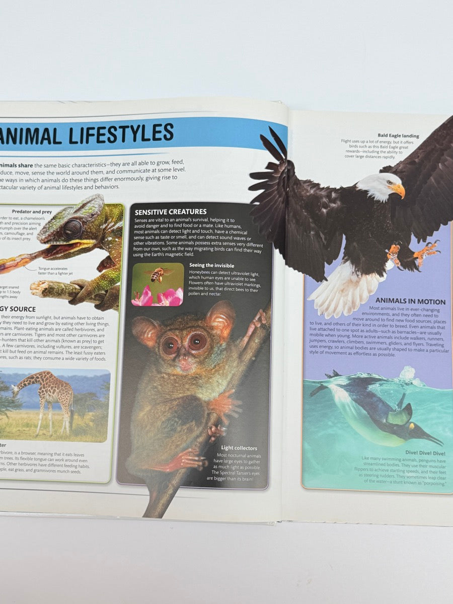 Smithsonian Super Nature Encyclopedia