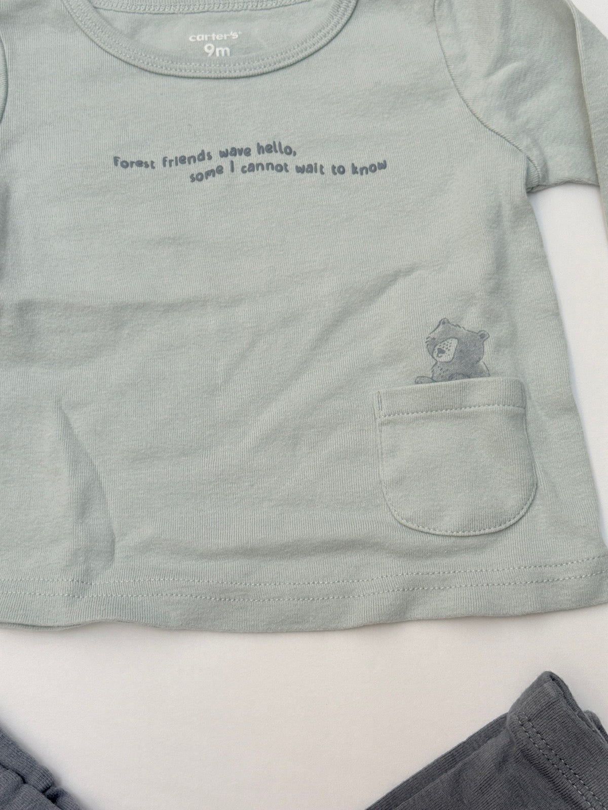 Carter's Forest Friends Top & Legging Set 9M