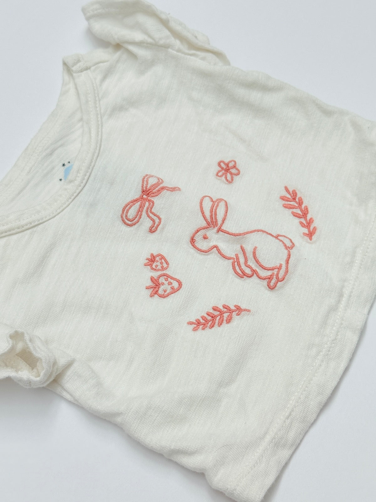 Cloud Island Bunny Embroidered Newborn Set