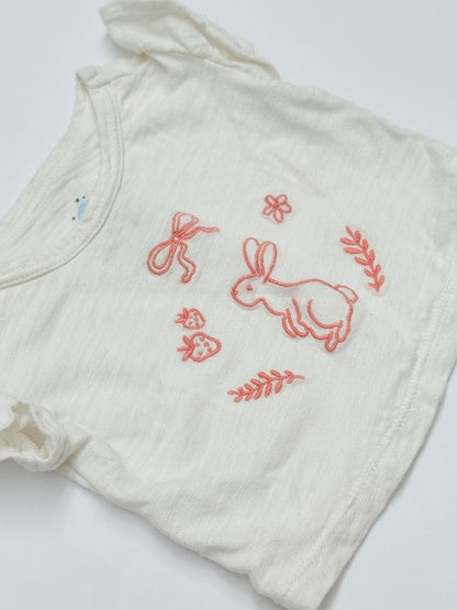 Cloud Island Bunny Embroidered Newborn Set