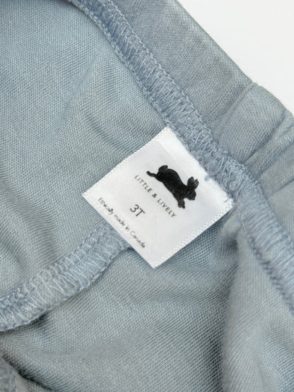 Little & Lively Gray Leggings 3T