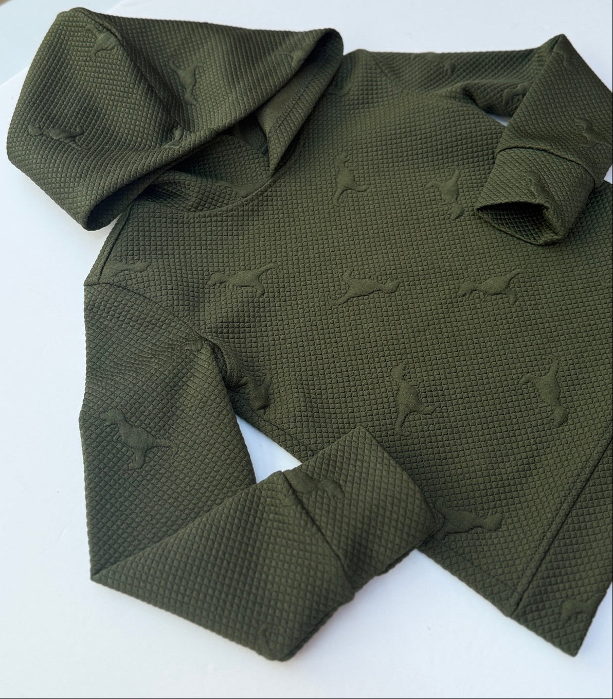 Andy & Evan Dinosaur Embossed Green Hoodie Size 3