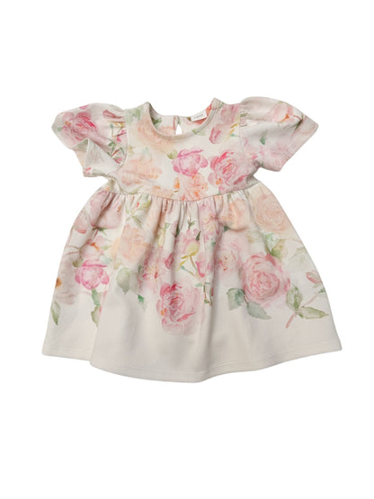 NWT - Next Floral Puff Sleeve Dress 6-9M