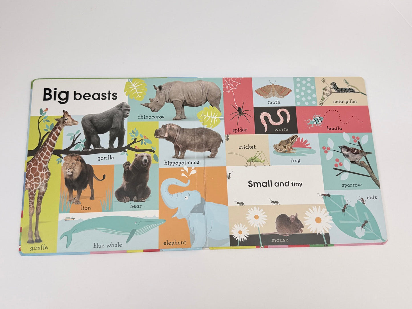 DK 100 First Animals Board Book