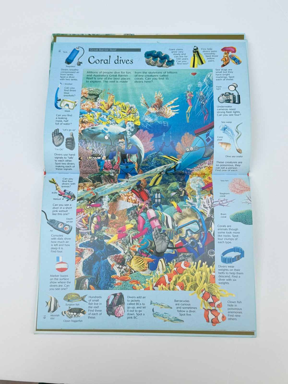 The Great Undersea Search