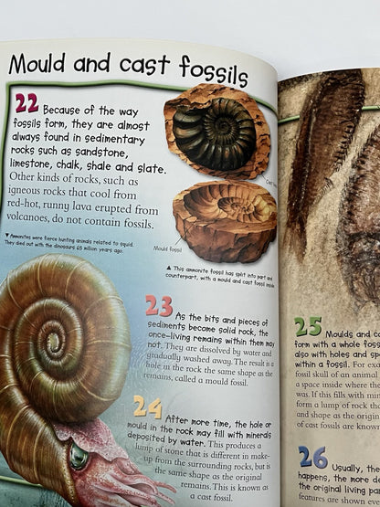 100 Facts Fossils
