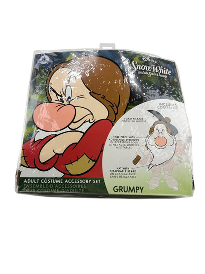 Disney Grumpy Adult Costume Accessory Set