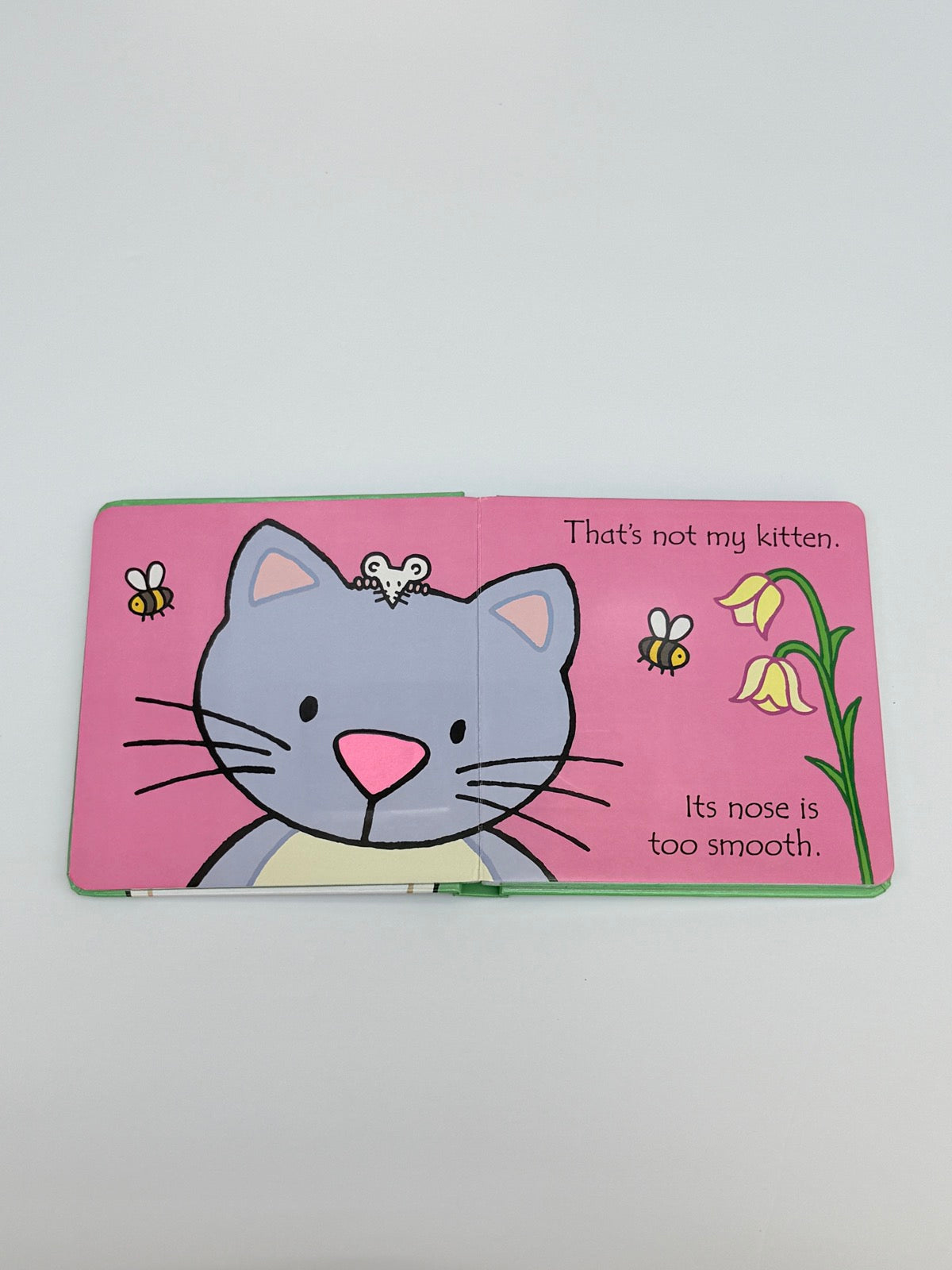 Fiona Watt That's Not My Kitten