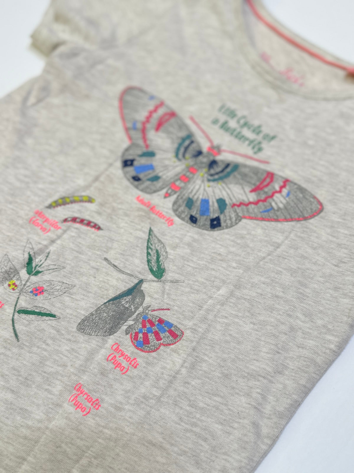 Mini Boden Butterfly Life Cycle T-Shirt 5-6y