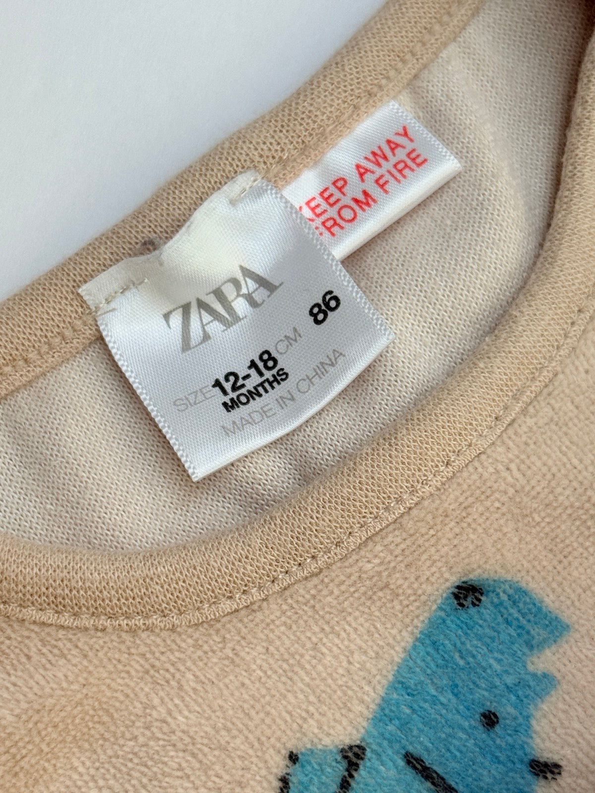 Zara Dinosaur Pajama Set 12-18m