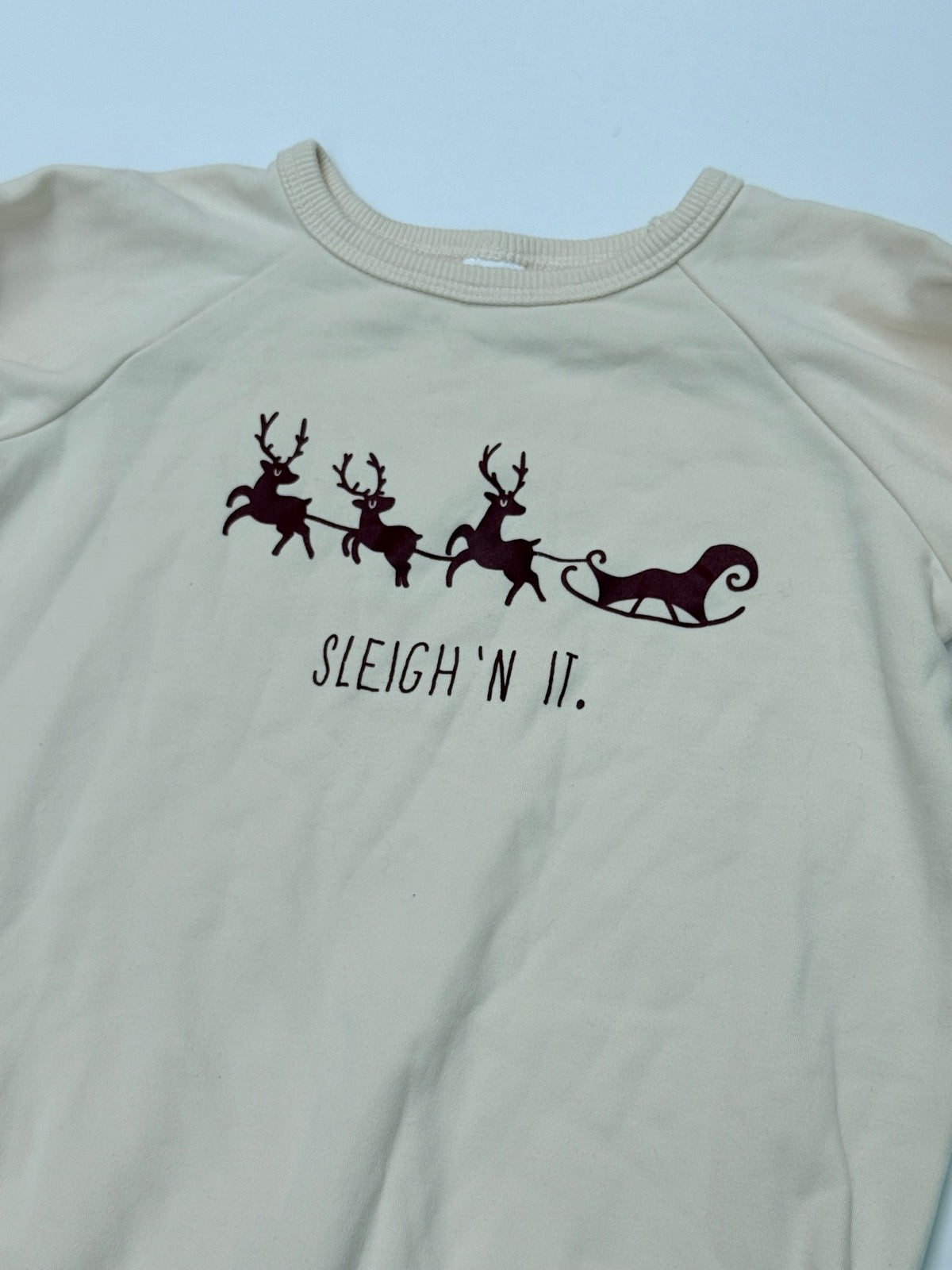 Little & Lively Sleigh 'N It Sweatshirt 3T