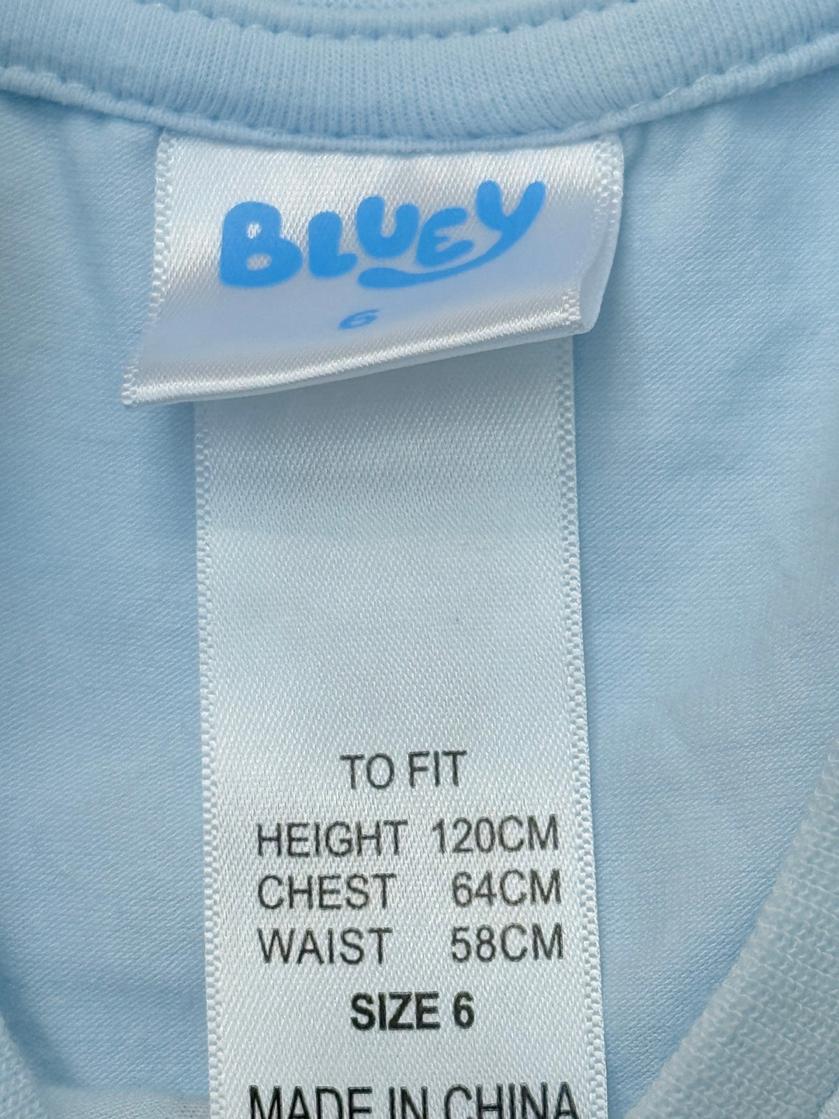 Bluey Tulle Long Sleeve Dress 6Y
