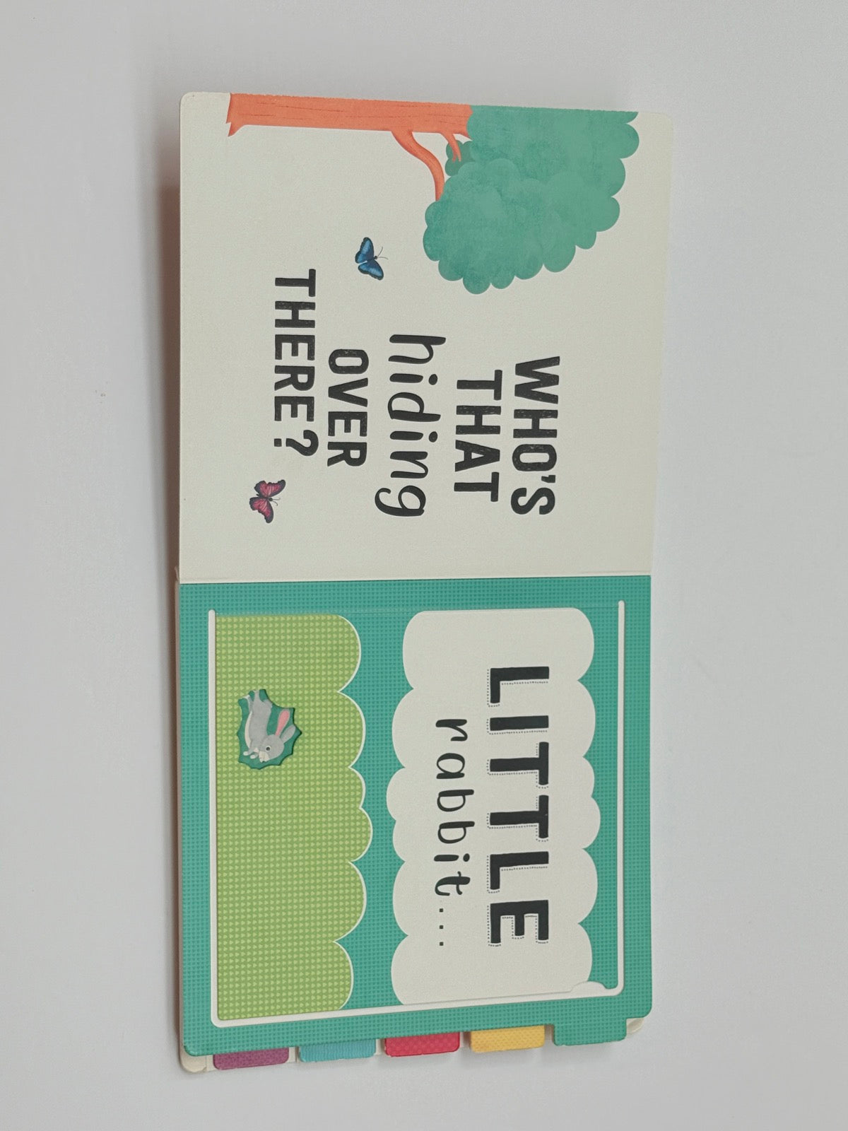 Little Rabbit Big Bear Lift-the-Flap Book