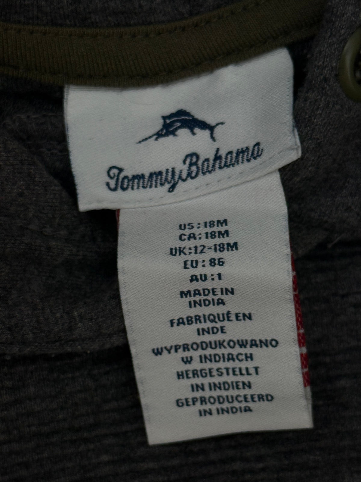 Tommy Bahama Dinosaur Hoodie 18M
