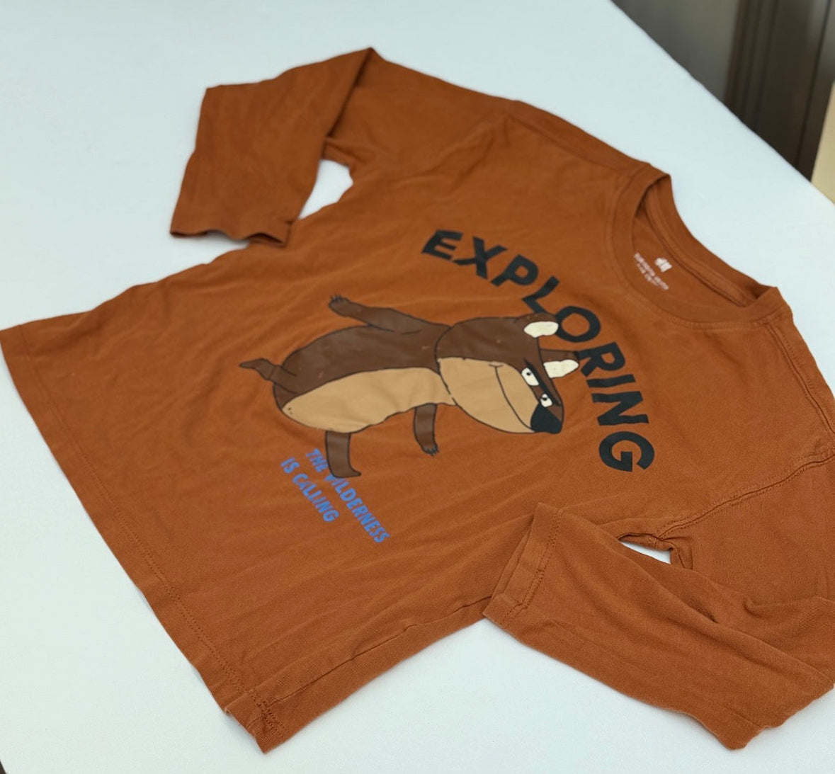 H&M Exploring Badger Long Sleeve Tee 5-6