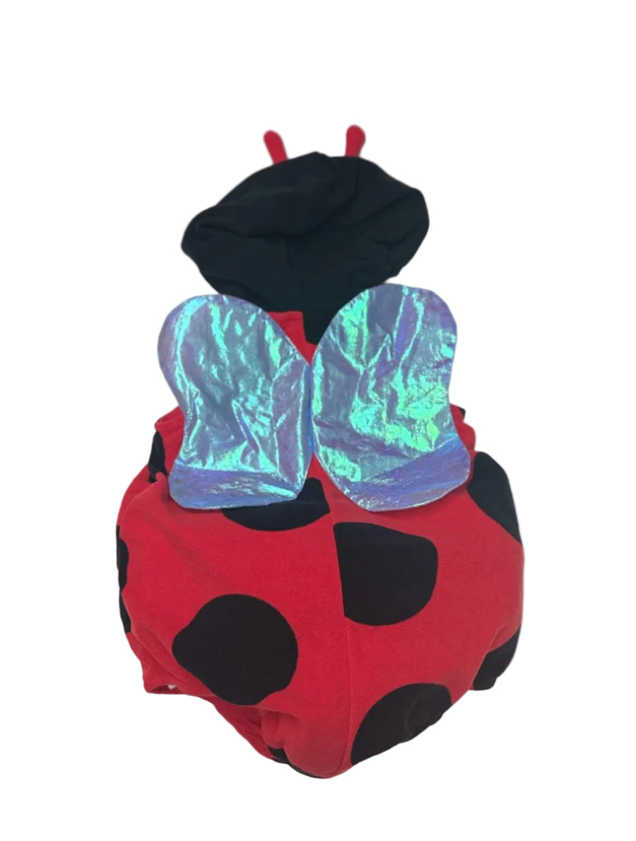 Ladybug Hooded Halloween Costume 24M