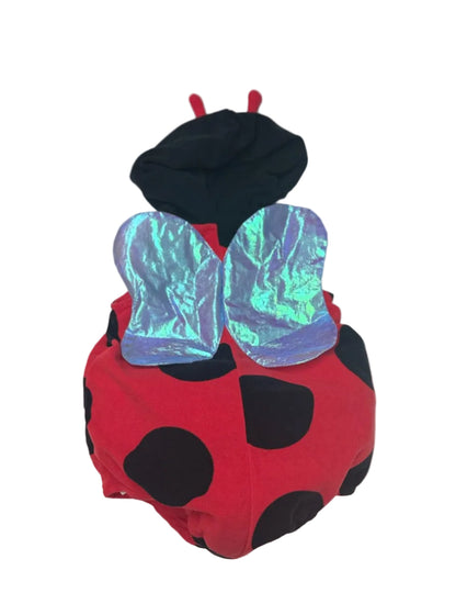 Ladybug Hooded Halloween Costume 24M