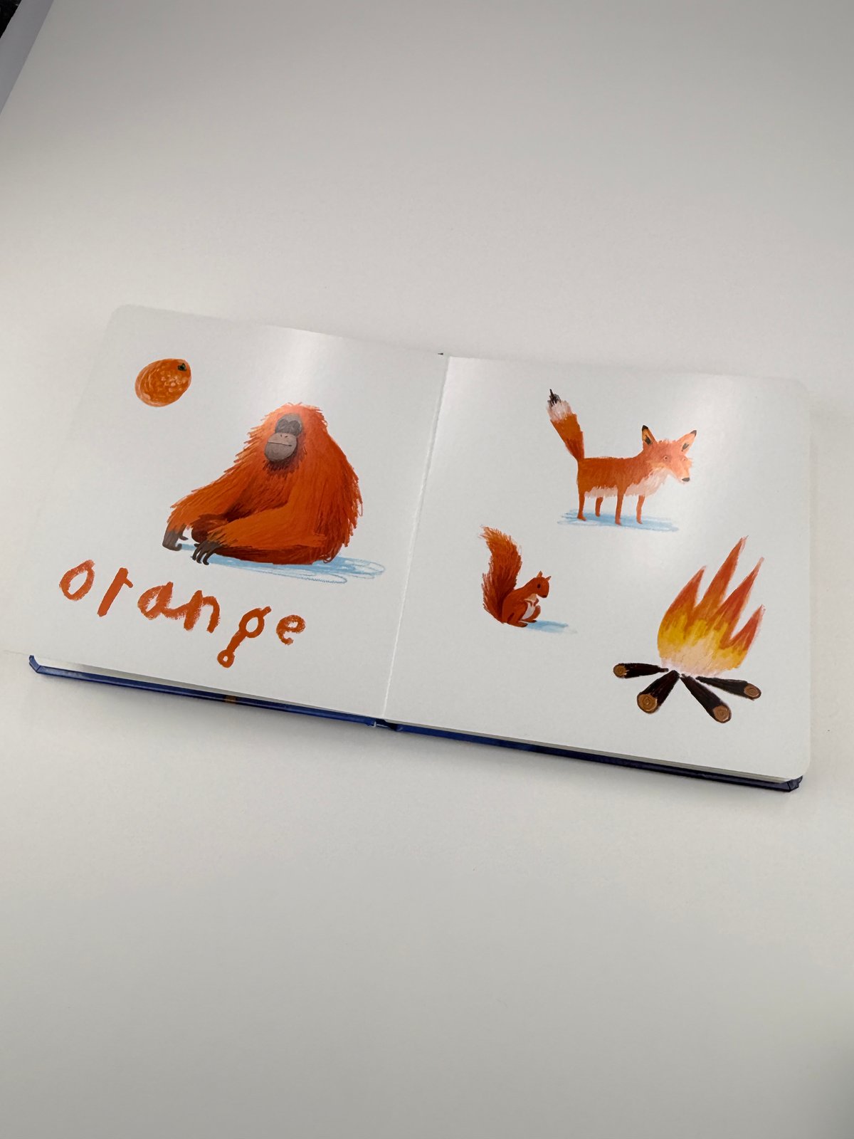 Oliver Jeffers Here We Are Book of Colours