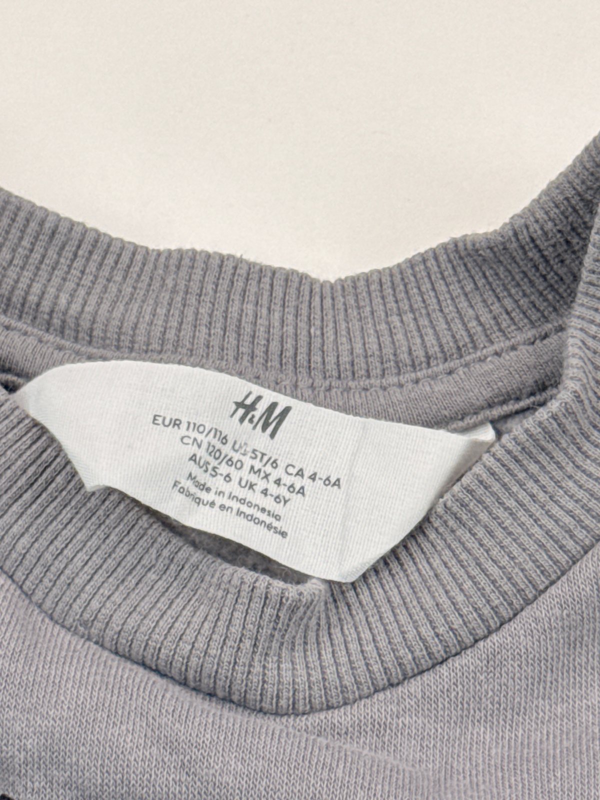 H&M Bat Print Gray Sweatshirt Size 5T/6