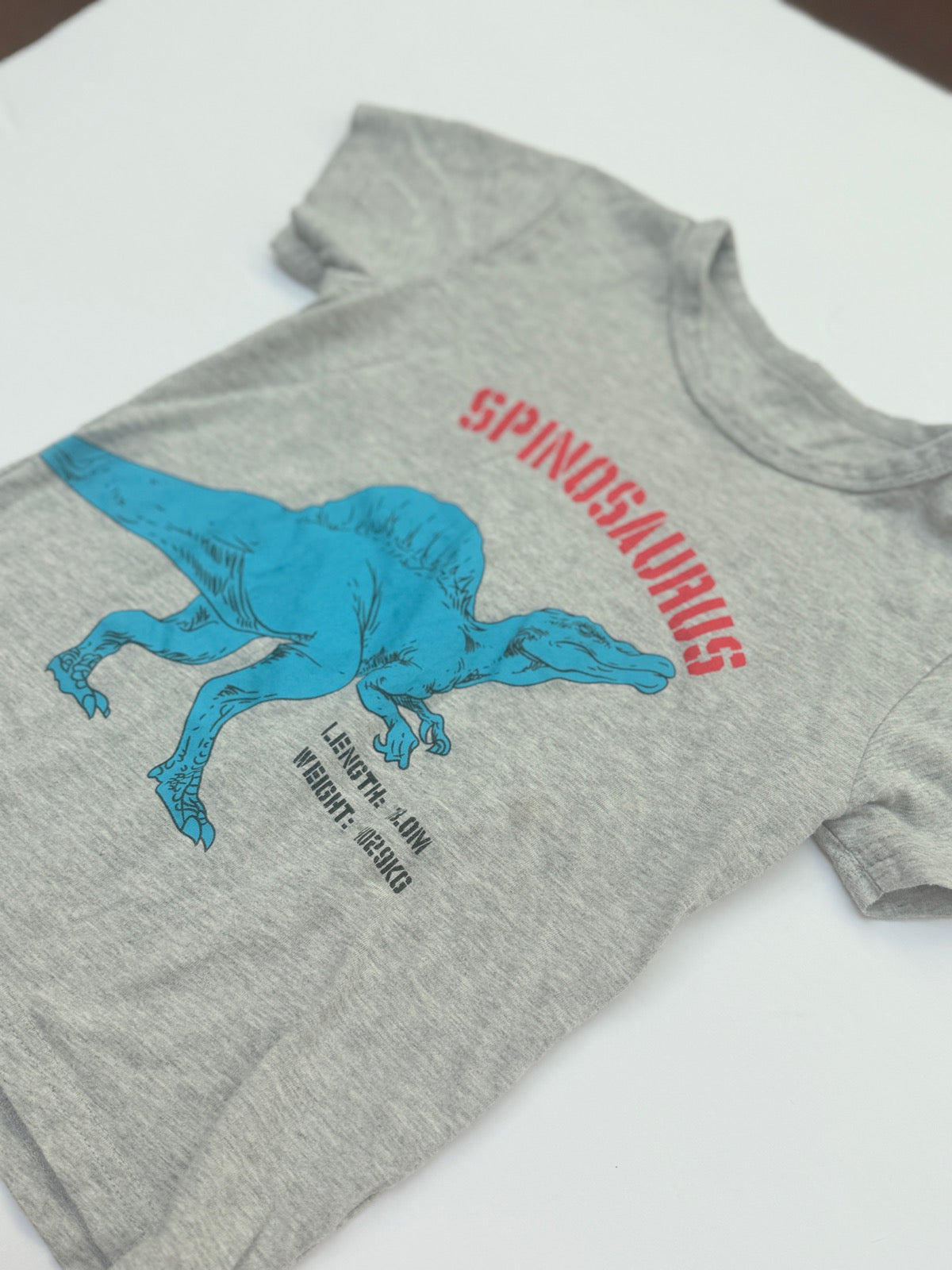Spinosaurus Gray Graphic Tee Size 4/5