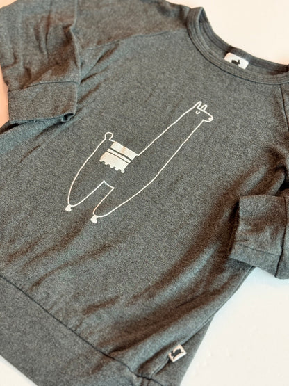 Little & Lively Llama Sweatshirt 3T 4T