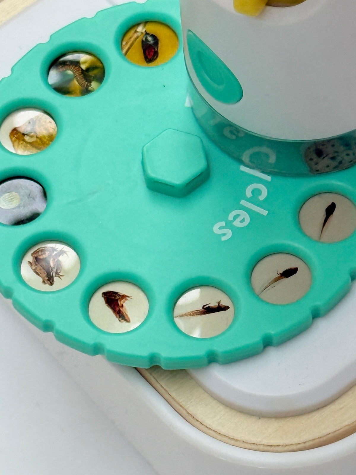 Lovevery Toy Microscope Insect Specimen Set